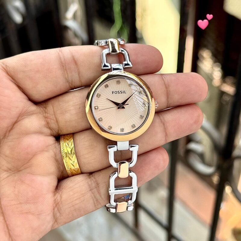 Fossil Olive Series (DT-G)