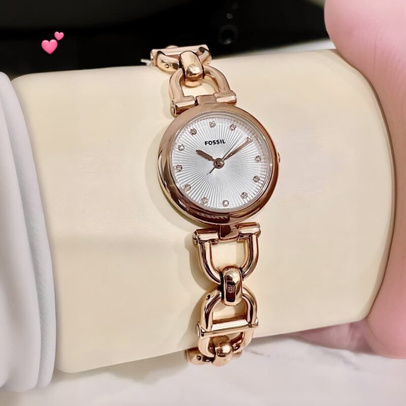 Fossil Olive Series (G-W) - Image 3