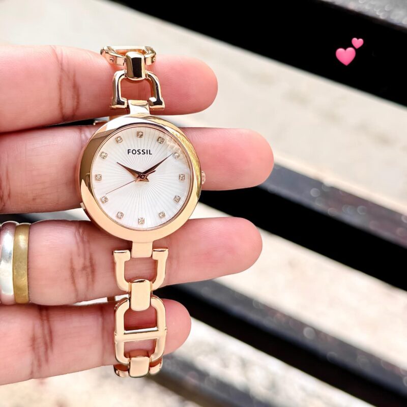 Fossil Olive Series (G-W) - Image 2